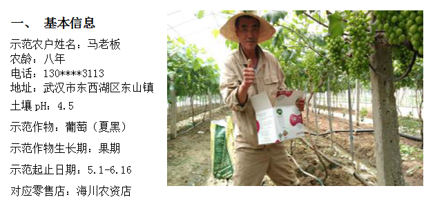示范案例——葡萄試驗(yàn)