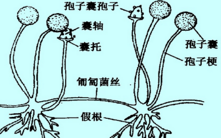 鍥劇墖3.png