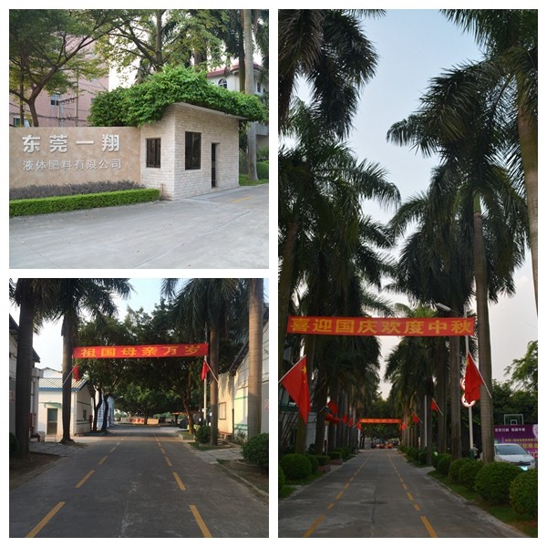 鄉(xiāng)喜液體肥舉行“歡度中秋，喜迎國慶”聯歡會