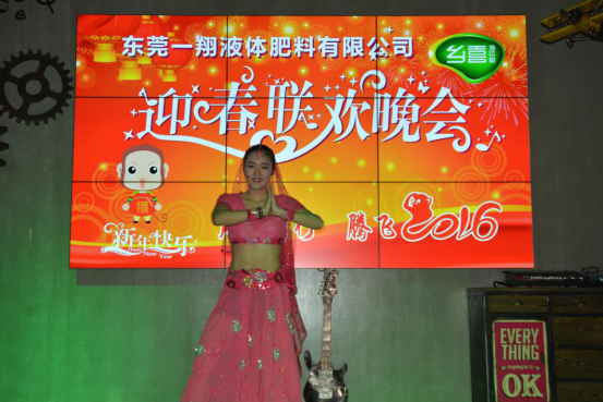 東莞一翔迎春聯歡晚會